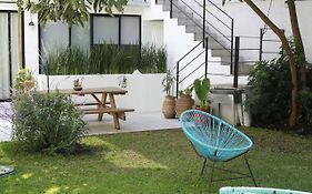 Coyoacan City Lofts